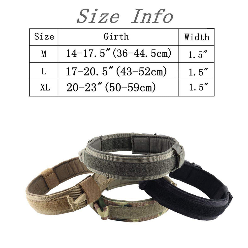 Collier de chien
