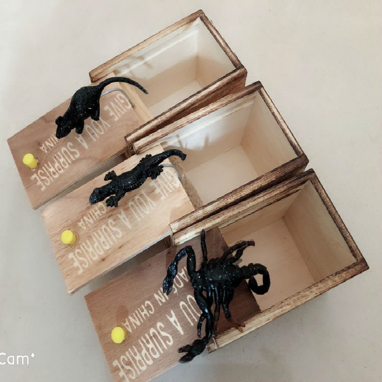 Boîte à farces en bois avec une araignée - Blague réaliste - Surprise pour le 1er avril - Jouet amusant et original - Cadeau pratique