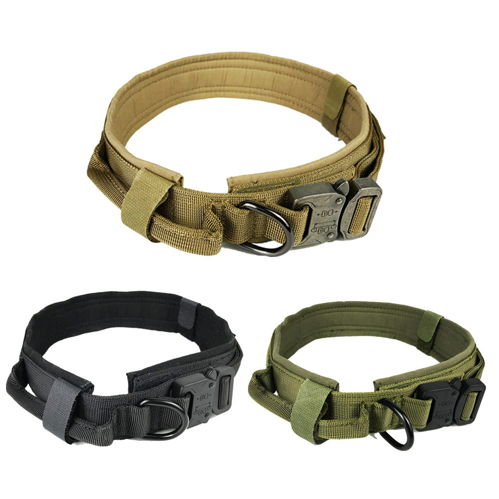 Collier de chien