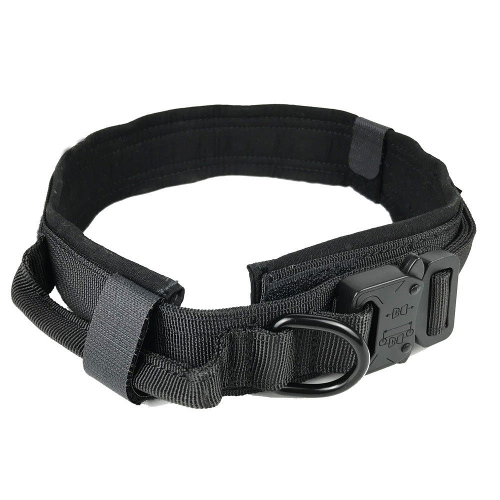 Collier de chien