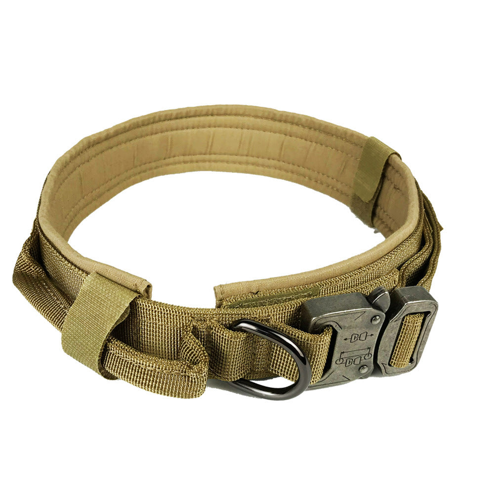 Collier de chien