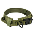 Collier de chien
