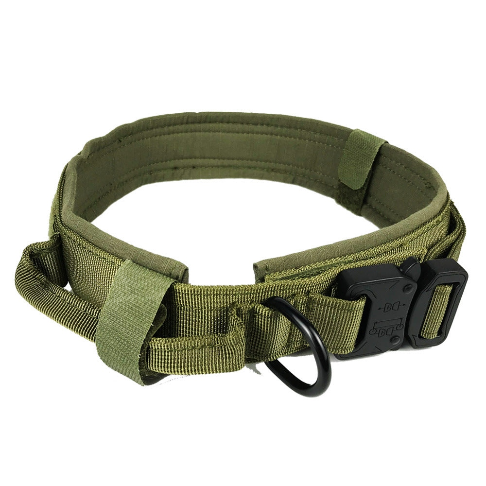 Collier de chien