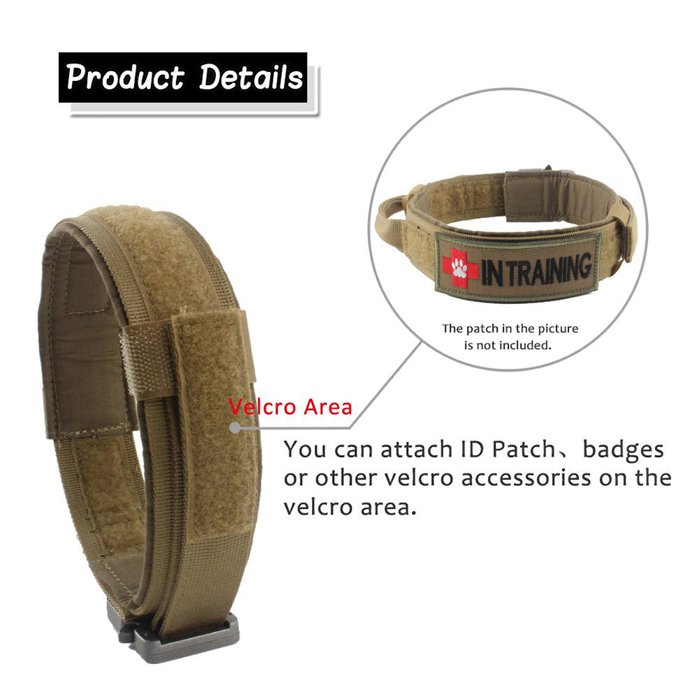 Collier de chien