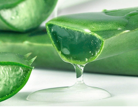 Crème hydratante pour le visage au gel d'aloe vera