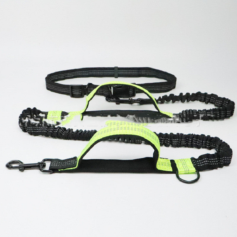 Corde de traction multifonctionnelle pour animaux de compagnie