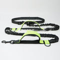 Corde de traction multifonctionnelle pour animaux de compagnie