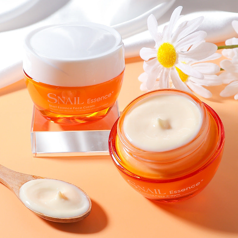 Crème hydratante pour le visage - Produits de soin de la peau