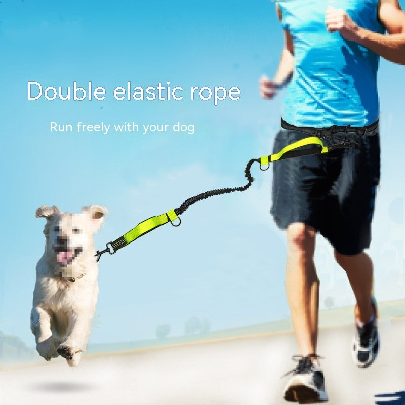 Corde de traction multifonctionnelle pour animaux de compagnie