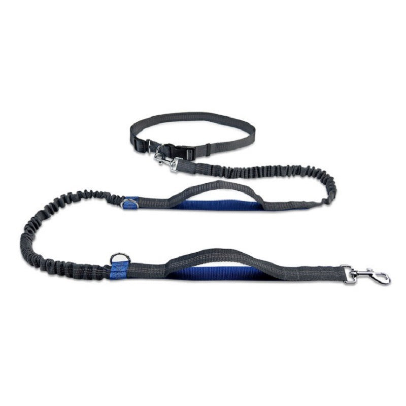 Corde de traction multifonctionnelle pour animaux de compagnie