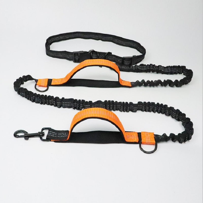 Corde de traction multifonctionnelle pour animaux de compagnie