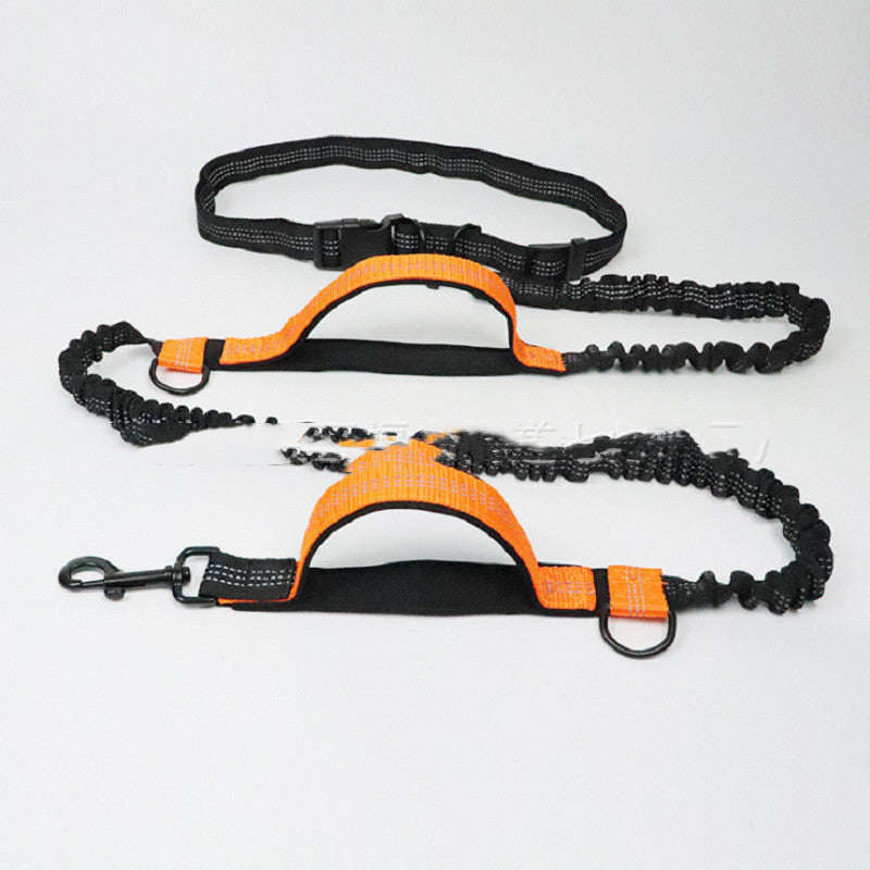 Corde de traction multifonctionnelle pour animaux de compagnie
